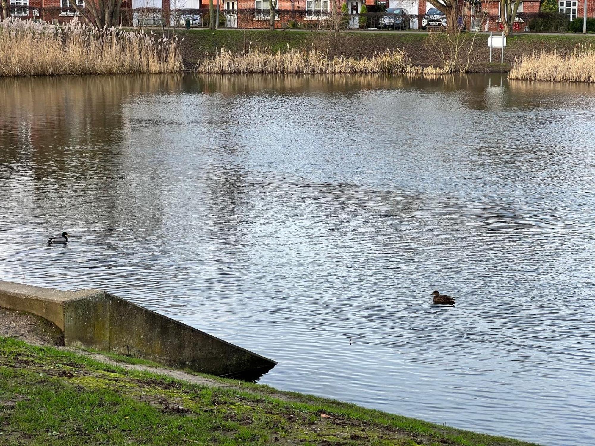 San Pedro Lodge Sittingbourne Dış mekan fotoğraf